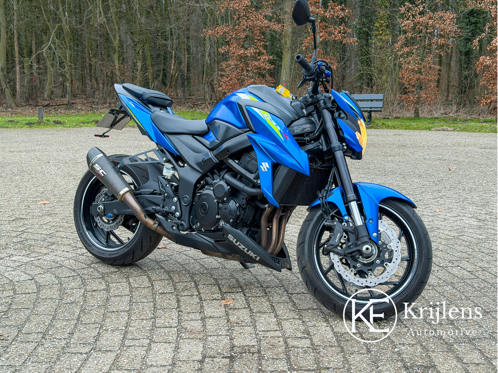 Untitled design (13)